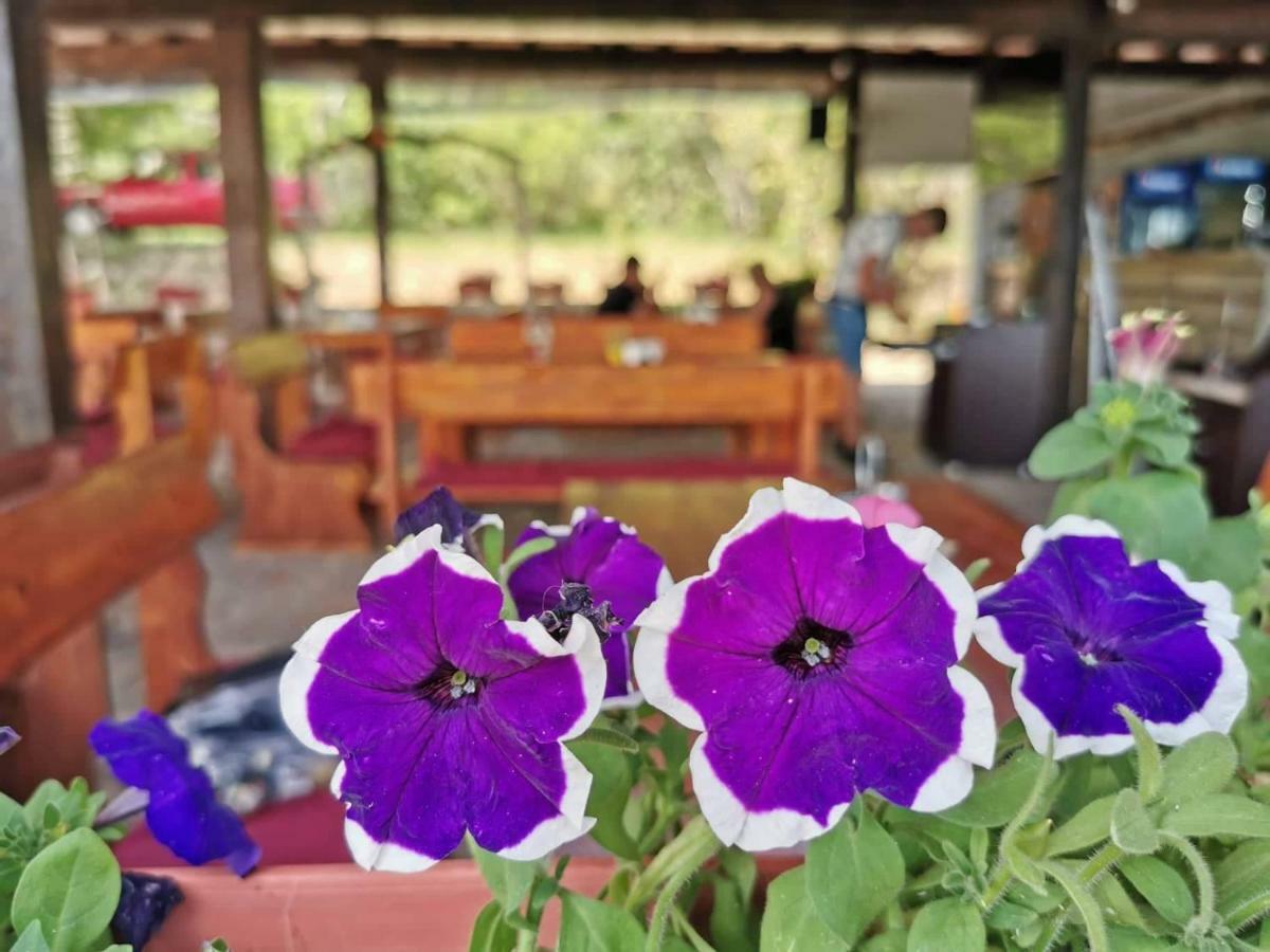 Complex Magura Otel Rabisha Dış mekan fotoğraf