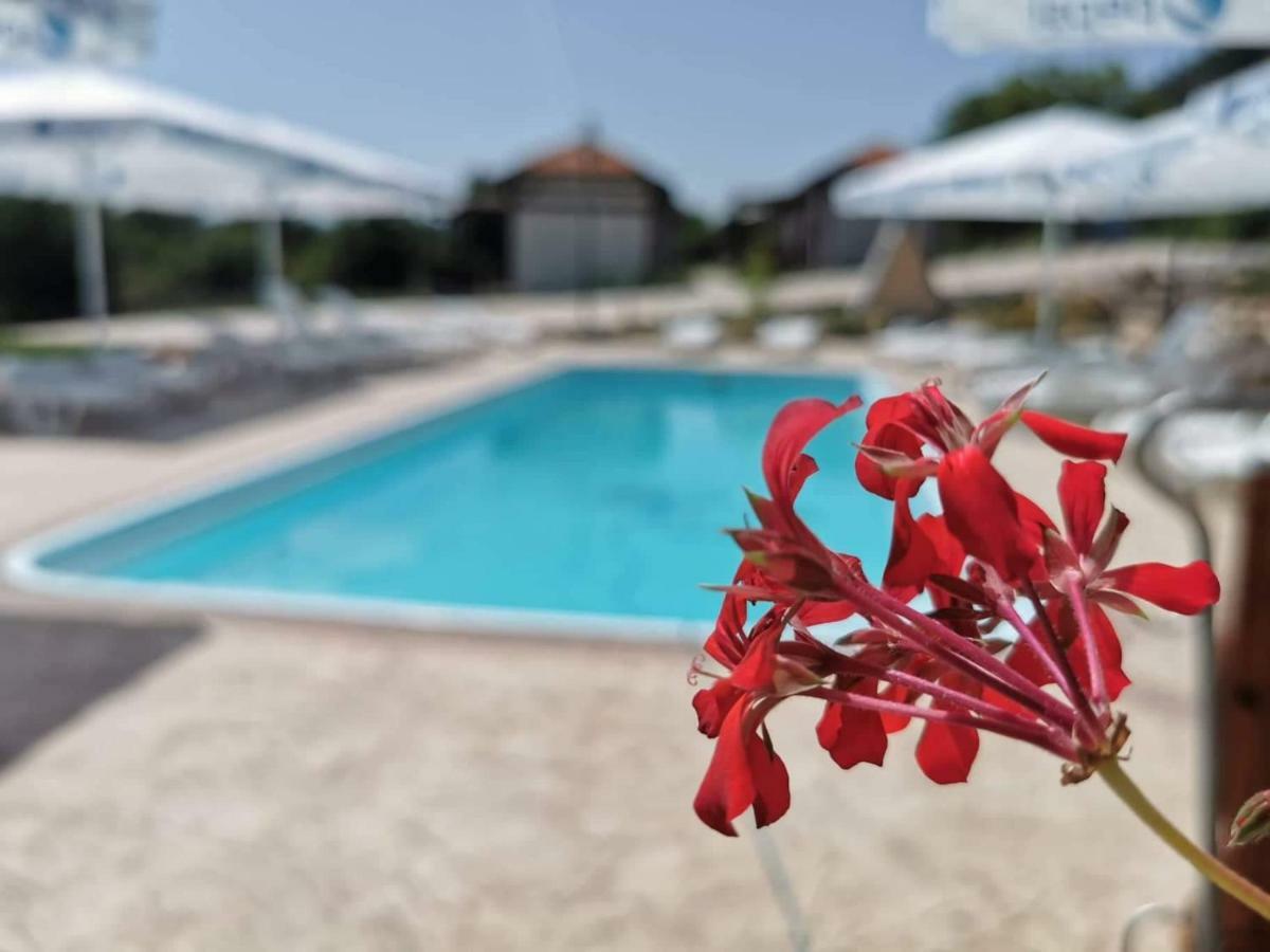 Complex Magura Otel Rabisha Dış mekan fotoğraf
